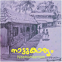 നാട്ടുകാര്യം ~ റെയ്‌സ്  Naattukaaryam Malayalam Podcast
