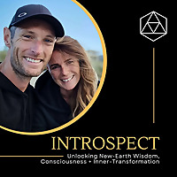 Introspect - Unlock the Power of Energy Healing and Consciousness Within