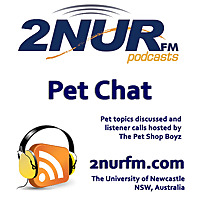 Pet Chat