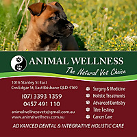 Animal Wellness Vets