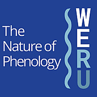 The Nature of Phenology | WERU 89.9 FM Blue Hill, Maine Local News and Public Affairs Archives