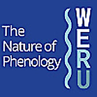 The Nature of Phenology | WERU 89.9 FM Blue Hill, Maine Local News and Public Affairs Archives