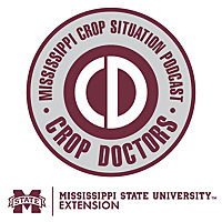 Mississippi Crop Situation Podcast