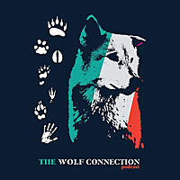 The Wolf Connection