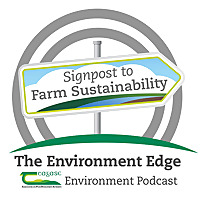 The Environment Edge