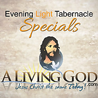 Evening Light Specials