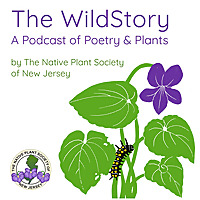 The WildStory: A Podcast of Poetry and Plants by The Native Plant Society of New Jersey