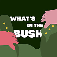 What's in the bush