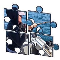 Solving the Obesity Medicine Puzzle