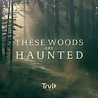 These Woods Are Haunted