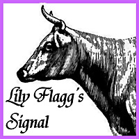 Lily Flagg's Signal