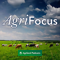 AgriFocus