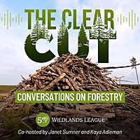 The Clear Cut