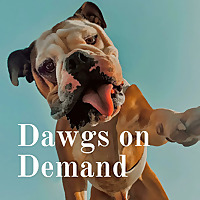 Dawgs on Demand