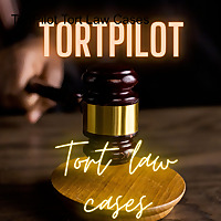 TortPilot Tort Cases and Explanation