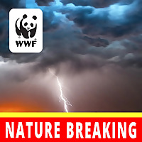 Nature Breaking