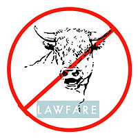 Lawfare No Bull