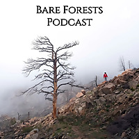 Bare Forests Podcast