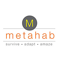 Metahab. Designed for Post Traumatic Growth