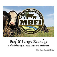 Beef and Forage Roundup