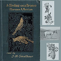A-Birding on a Bronco by Florence A. Merriam Bailey