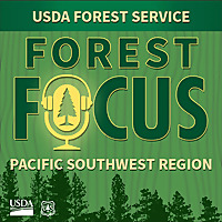 Forest Focus