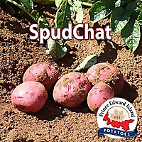 SpudChat