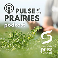 Pulse of the Prairies