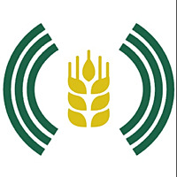 Wheat Profit