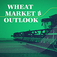 Wheat Market Outlook