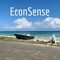 EconSense