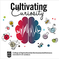 Cultivating Curiosity