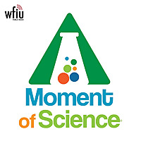 A Moment of Science