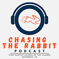 Chasing the Rabbit
