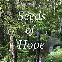 Seeds of Hope: Talks and Homilies by Fr. Mike Muhr