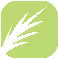 Northfield Christian Fellowship - Sermons