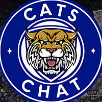Cats Chat