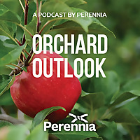 Orchard Outlook