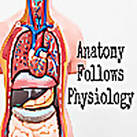 Anatomy Follows Physiology