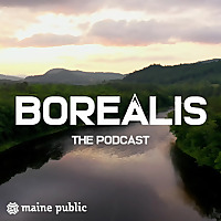 Borealis