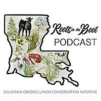 Roots in the Boot
