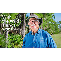 With the Wild Things