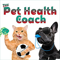 The Pet Health Coach with Jody L. Teiche (formerly The Hound Healer) - natural pet health