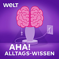 Aha! Zehn Minuten Alltags-Wissen