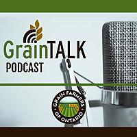 GrainTALK