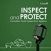Inspect and Protect