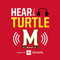 Hear The Turtle