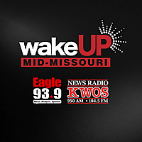 Wake Up Missouri On Demand