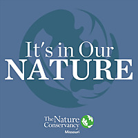 It's in Our Nature
