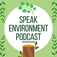 Speak Environment